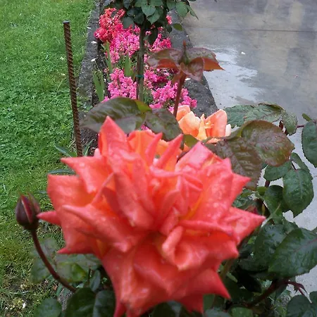 Rurales La Casa Vieja De Apartament Silió