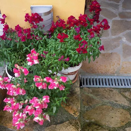 Rurales La Casa Vieja De * Silió