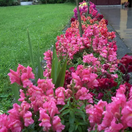 Rurales La Casa Vieja De Apartment