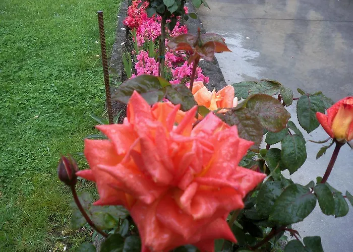 Rurales La Casa Vieja De Daire Silió