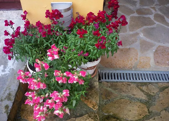 Rurales La Casa Vieja De * Silió