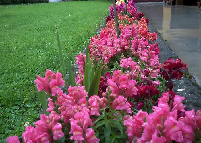 Rurales La Casa Vieja De Daire